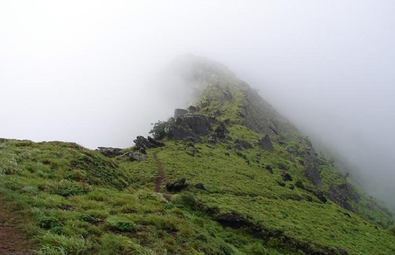 blog-image